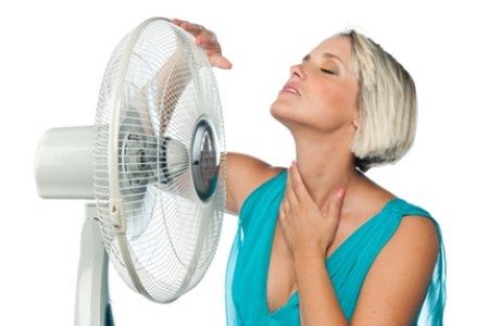 Portable fan